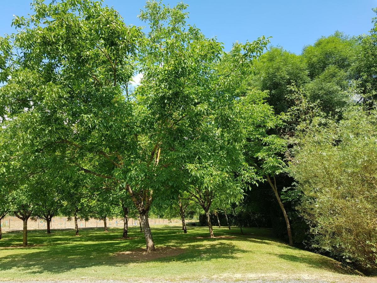 לינה וארוחת בוקר Cavagnac Moulin Du Soustre מראה חיצוני תמונה